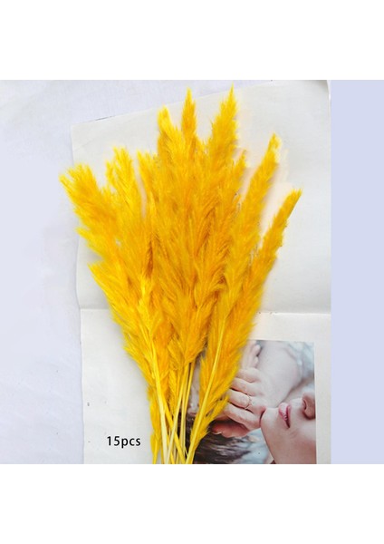 Yapay Kuru Çim Phragmites Sazlık Çiçek Dekor Jaune (Yurt Dışından)