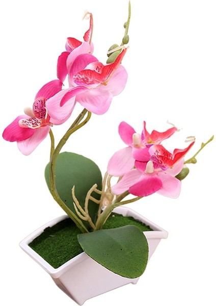 Acituna 3 Yapay Orkide Bonsai Çiçek, Kapalı Açık Ofis Ev Dekor (Yurt Dışından) fırsatları