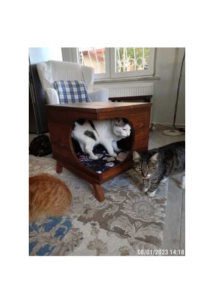 Ahşap Kedi Evi Kedi Yatağı Kedi Kulubesi Yatak Hediyeli fiyatları