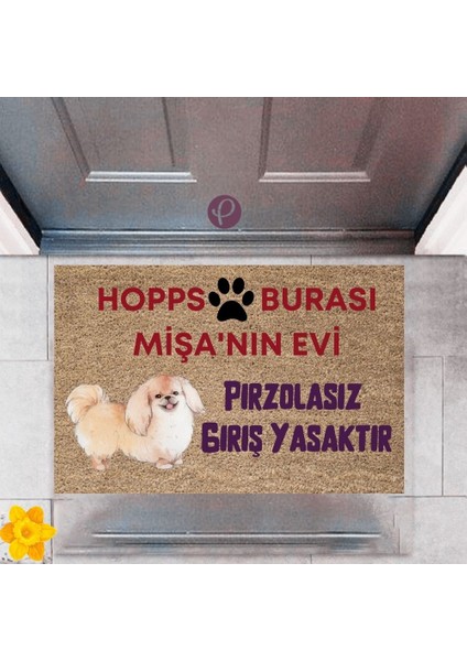 Kapı Önü Paspası Dekoratif Dijital Baskı Hopps P-2475