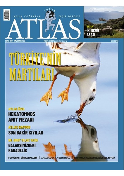 Atlas Haziran 2022