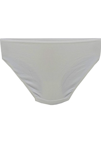 Kadın Bikini Külot Mikro Modal BGL-ST01312