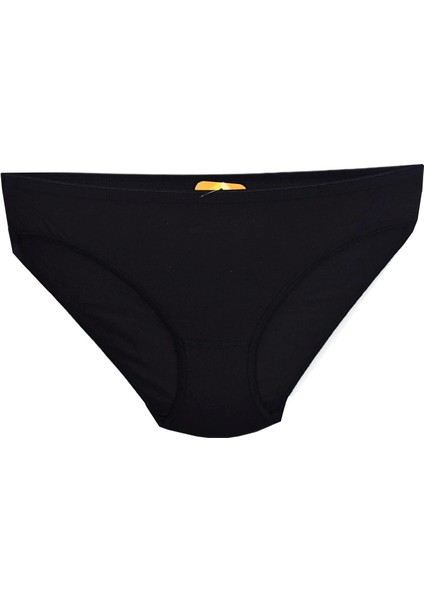Kadın Bikini Külot Mikro Modal BGL-ST01312