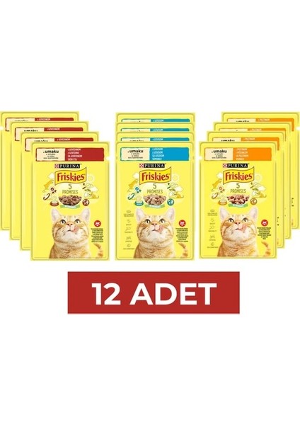 Sığır Etli & Somonlu & Tavuklu Karışık Yaş Kedi Maması 85 gr x 12 Adet
