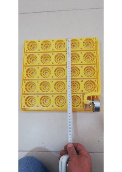 Kulucka Makinesi 24 Lü Motorlu Gelişim Viyolu 1/240 Rpm fiyatları