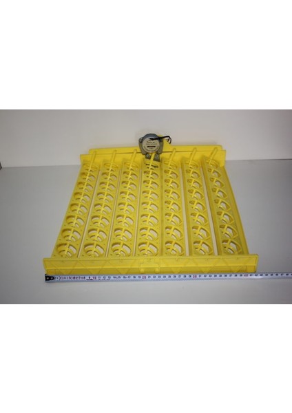 56 Lı Gelişim Viyolu 1/240 Rpm modelleri