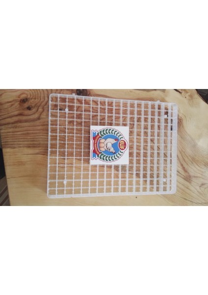 221LI Bıldırcın Gelişim Viyolu