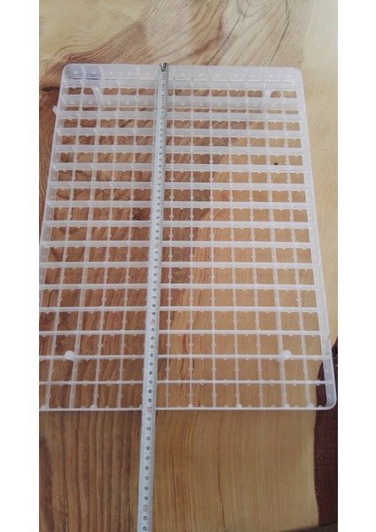 221LI Bıldırcın Gelişim Viyolu fiyatları