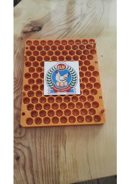 129 Lu Bıldırcın Gelişim Viyolu