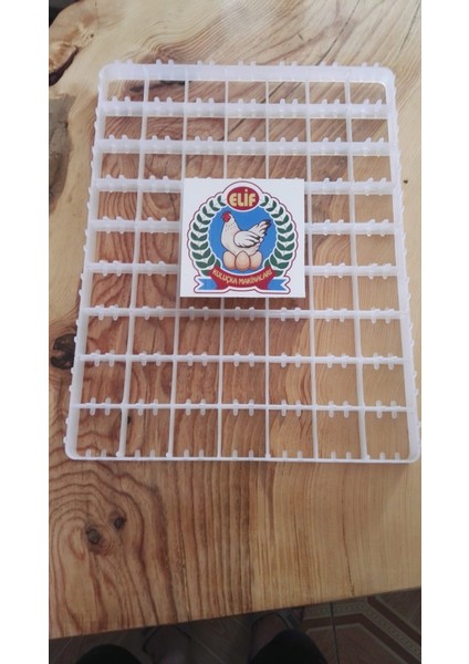 63 Lü Hindi ,ördek Gelişim Viyolu