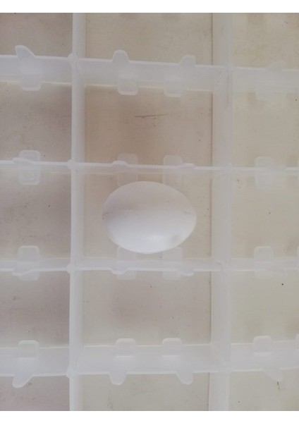 63 Lü Hindi ,ördek Gelişim Viyolu fiyatları