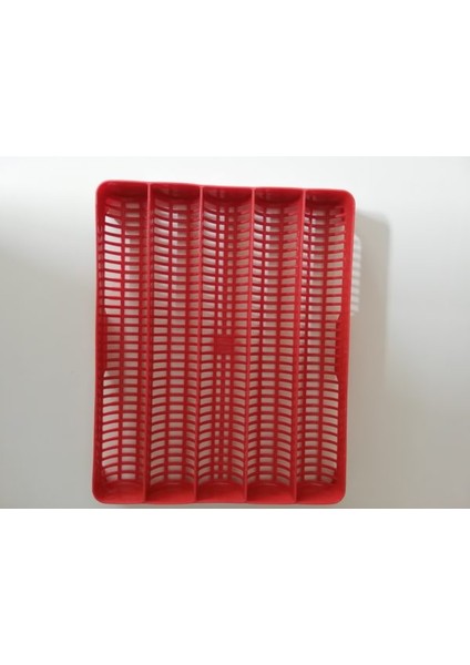 30 Lu Kaz Gelişim Viyolu