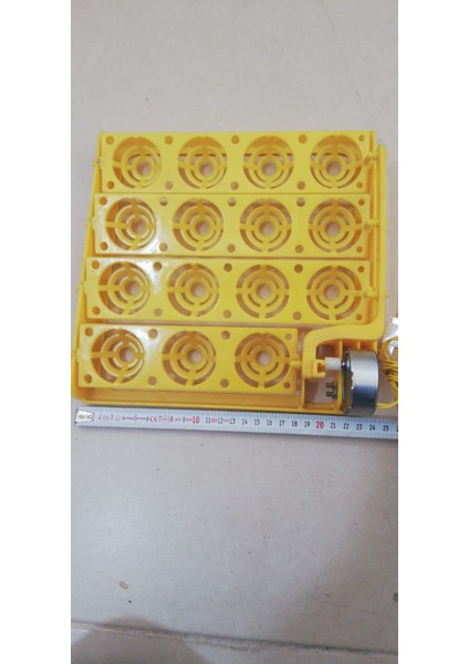 15 Li Motorlu Gelişim Viyolu 1/240 Rpm