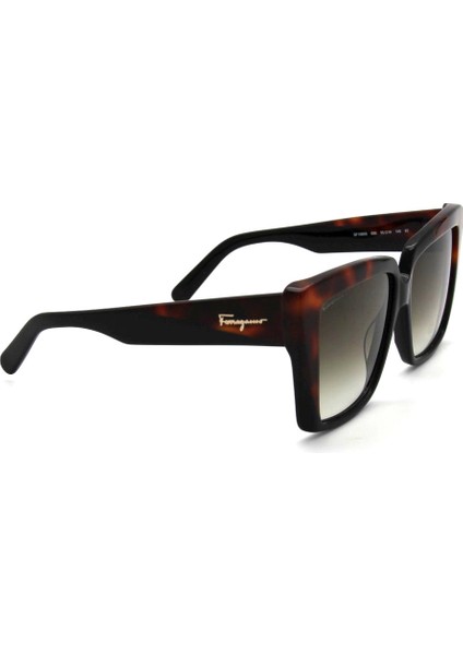 SF 1060S 006 Güneş Bayan Gözlüğü modelleri