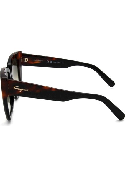 SF 1060S 006 Güneş Bayan Gözlüğü fırsatları