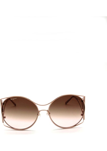 SF 290S 770 Güneş Bayan Gözlüğü fiyatları