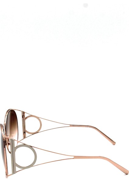 SF 290S 770 Güneş Bayan Gözlüğü fırsatları