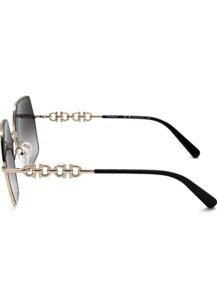 SF 291S 703 Güneş Bayan Gözlüğü fırsatları