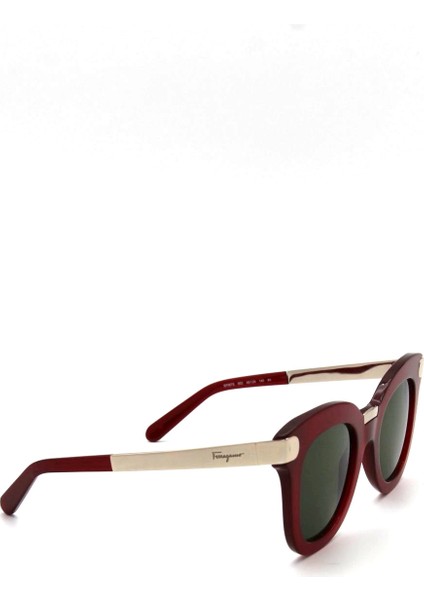 Sf 967S 653 Kadın Güneş Gözlüğ modelleri