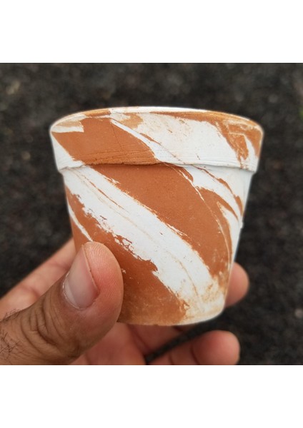 3 Lü El Yapımı Çömlek Kaktüs Saksısı