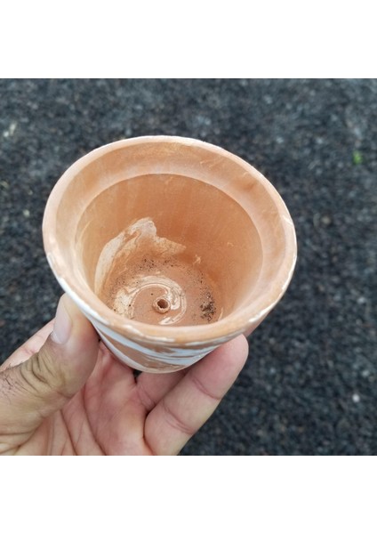 3 Lü El Yapımı Çömlek Kaktüs Saksısı