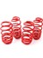 Coil-Ex Seat Leon 1m 1999 / 08.2005 Arası Spor Yay 45 / 45 mm 3