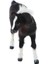 Simülasyon Hayvan Model Oyuncak Figürleri Ev Dekoru Black Horse (Yurt Dışından) 1