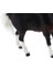 Simülasyon Hayvan Model Oyuncak Figürleri Ev Dekoru Black Horse (Yurt Dışından) 3
