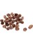 Çam Konıları Süs 25 Pcs (Yurt Dışından) 1