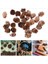 Çam Konıları Süs 25 Pcs (Yurt Dışından) 2