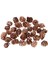 Çam Konıları Süs 25 Pcs (Yurt Dışından) 5