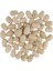 Ahşap Yumurtalar 10 Pcs (Yurt Dışından) 2