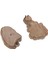 60PCS/ Dilimler Çemberler Rustik Parçalar 2-4cm Çap. Dekorasyon (Yurt Dışından) 4