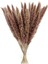 15X Kurutulmuş Çim Phragmites Sazlık Çiçek Demet Dekor Doğal (Yurt Dışından) 1
