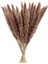 15X Kurutulmuş Çim Phragmites Sazlık Çiçek Demet Dekor Doğal (Yurt Dışından) 2