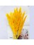 Yapay Kuru Çim Phragmites Sazlık Çiçek Dekor Jaune (Yurt Dışından) 5