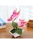 Acituna 3 Yapay Orkide Bonsai Çiçek, Kapalı Açık Ofis Ev Dekor (Yurt Dışından) 2
