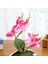 Acituna 3 Yapay Orkide Bonsai Çiçek, Kapalı Açık Ofis Ev Dekor (Yurt Dışından) 3