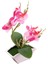 Acituna 3 Yapay Orkide Bonsai Çiçek, Kapalı Açık Ofis Ev Dekor (Yurt Dışından) 4