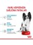 ® X-Small Puppy Yavru Köpek Maması 1,5 Kg 4
