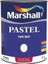 Pastel Yarı Mat Boyası Ekru 0,75 Lt (1 Kg) 1