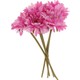  Renk Pembe