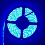 Anı Fotoğrafçılık Şerit LED 24V Dış Mekan Mavi