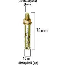 Alet Çantam Çelik Dübel Gömlekli 8X75 (10MM) - 10 Adet