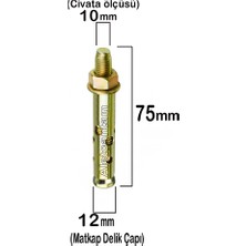 Alet Çantam Çelik Dübel Gömlekli 10X75 (12MM) - 10 Adet