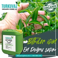 Turkuvaz 20 Lt. Organik Doğal Odun Sirkesi Wood Vinegar