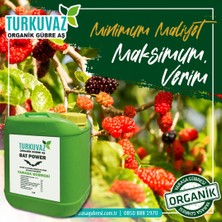 Turkuvaz 500 Gr. Turkuvaz Bat Power Organik Toz Yarasa Gübresi (Katkısız