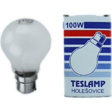 Teslamp 100W 240V 2800K B22 A60 Buzlu Cam Halojen Normal Ampul 5 Adet