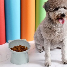 Kesoto Yükseltilmiş Kedi Kase Küçük Köpek Yavru Kedi Yemekleri Gıda Kaymaz Standı Evcil Hayvan Seçeneği 5 (Yurt Dışından)