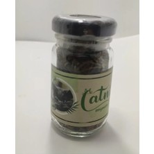 Catnip Cam Şişe Catnip Kedi Nanesi